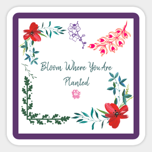 Bloom Where You Are Planted Sticker